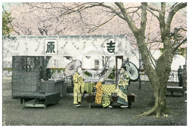 Lunch stand in a public park, Japan, 1904. Artist: Unknown
