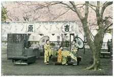 Lunch stand in a public park, Japan, 1904
