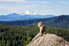 Lunch with a View. Creator: Joshua Johnston