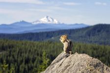 Lunch with a View. Creator: Joshua Johnston