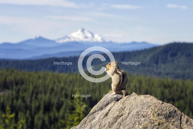 Lunch with a View. Creator: Joshua Johnston.