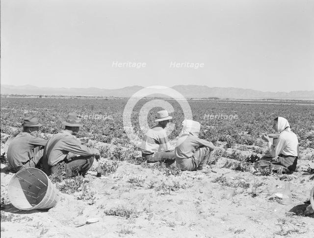 Lunchtime in the field, camp in background, near Calipatria, California, 1939. Creator: Dorothea Lange.