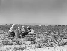 Lunchtime in the pea fields with camp in background, near Calipatria, California, 1939. Creator: Dorothea Lange