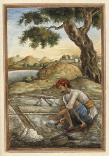 Luniya, a caste of salt-diggers, 1825 . Creator: Anon