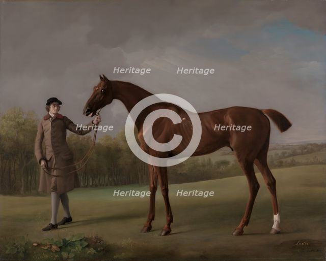 Lustre, held by a Groom, ca. 1762. Creator: George Stubbs.