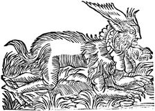 Lycanthropy: forest demon captured in Germany in 1531 (1669)