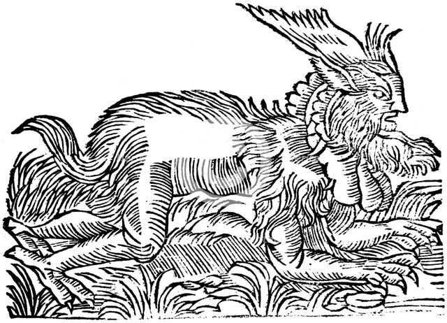 Lycanthropy: forest demon captured in Germany in 1531 (1669). Artist: Unknown