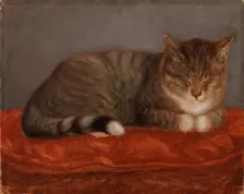 Lying cat, Mosse, 1872-1873. Creator: Maria Wiik
