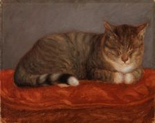 Lying cat, Mosse, 1872-1873. Creator: Maria Wiik