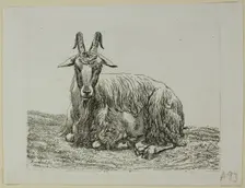 Lying Goat, from Die Zweite Thierfolge, 1800. Creator: Johann Christian Reinhart
