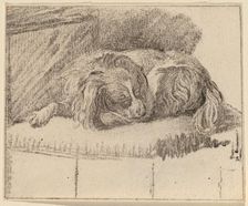 Lying Dog, 1777. Creator: Cornelis Brouwer