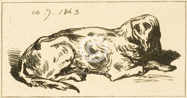 Lying Dog, 1843. Creator: Charles Emile Jacque.