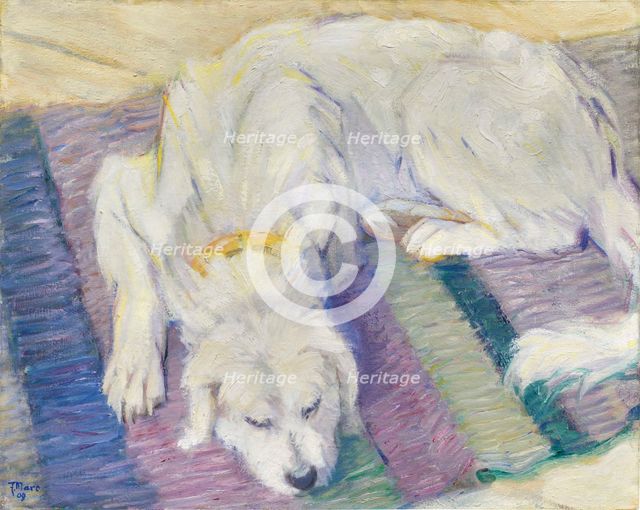 Lying dog (Dog Portrait of "Russi"), 1909. Creator: Marc; Franz (1880-1916).