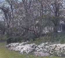 "Lyndhurst," Finley Johnson Shepard house, 635 South Broadway, Tarrytown, New York., c1914. Creator: Frances Benjamin Johnston
