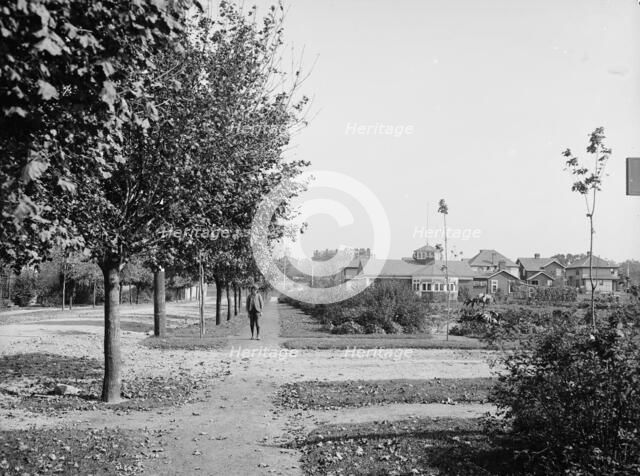 M Street with boys' garden and officers' club, National Cash Register [Company], Dayton, (1902?). Creator: William H. Jackson.