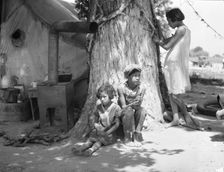Motherless migrant children - they work in the cotton, 1935. Creator: Dorothea Lange