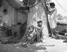 Motherless migrant children - they work in the cotton, 1935. Creator: Dorothea Lange