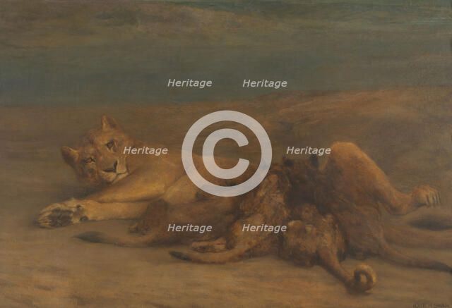 'Mother's Love' - lioness with four nursing cubs, 1870-1904.  Creator: John MacAllan Swan.