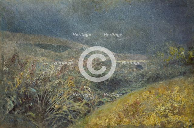 Motif from the Belianske Tatras, 1880-1900. Creator: Ladislav Mednyanszky.