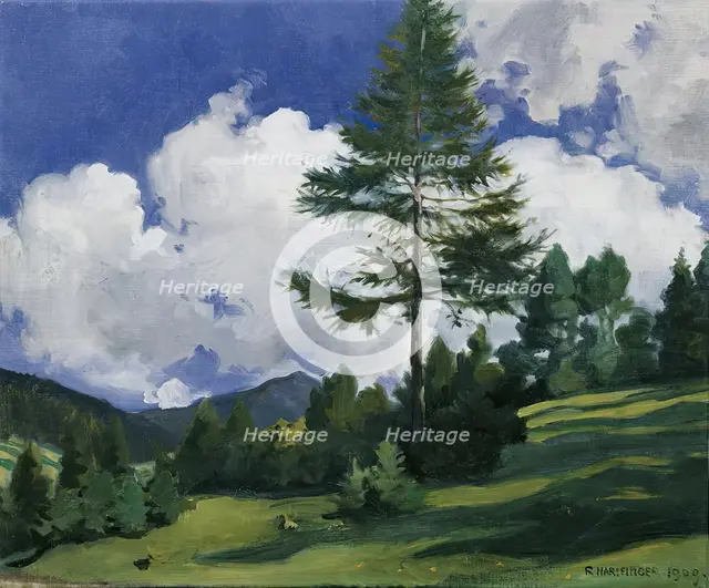 Motif near Toblach, 1909. Creator: Richard Harlfinger.