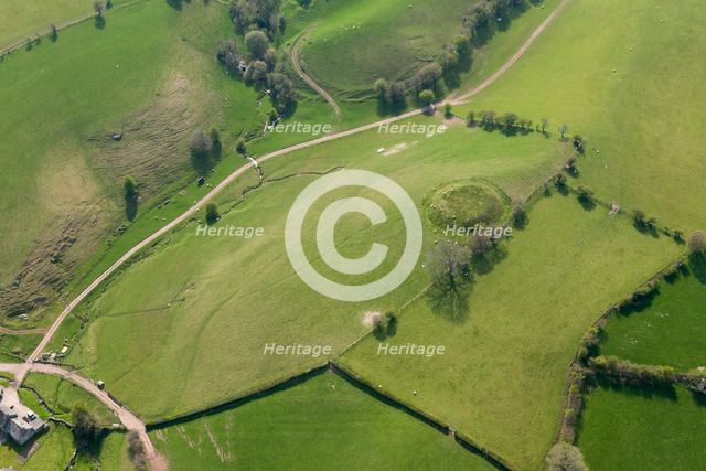 Motte castle, Nant-y-bar, Herefordshire, 2016. Creator: Damian Grady.