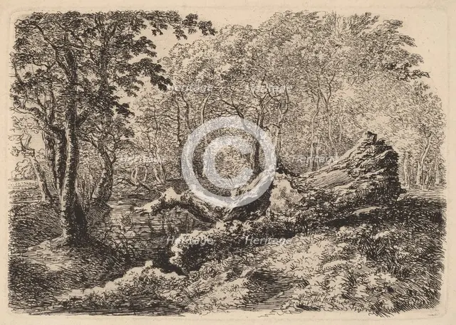 Mouldering Tree Trunk, 1794. Creator: Johann Georg von Dillis.