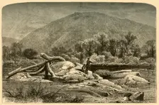 Mount Chesterfield 1874. Creator: W.H. Morse
