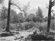 Mount Alexander, West Coast Road, c1880s. Creator: Burton Brothers