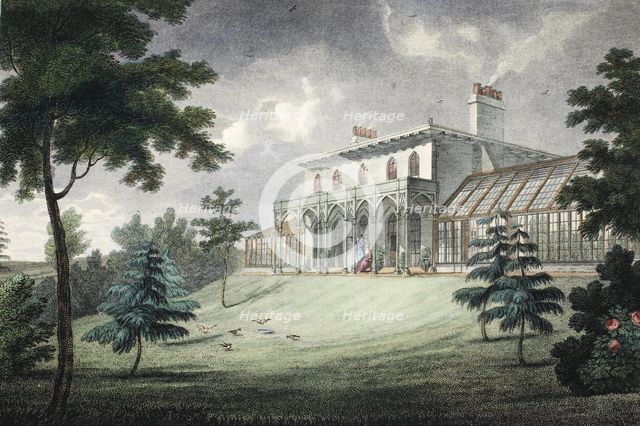 Mount Ararat, Wimbledon, pub. c. 1828 (hand coloured engraving)
