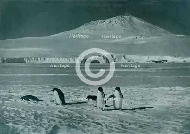 'Mount Erebus', c1911, (1913). Artist: Herbert Ponting.