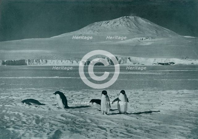 'Mount Erebus', c1911, (1913). Artist: Herbert Ponting.