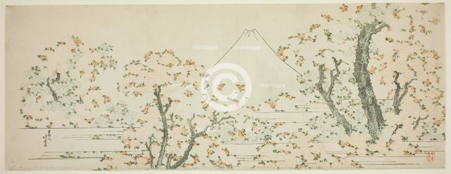 Mount Fuji with Cherry Trees in Bloom, Japan, c. 1801/05. Creator: Hokusai.