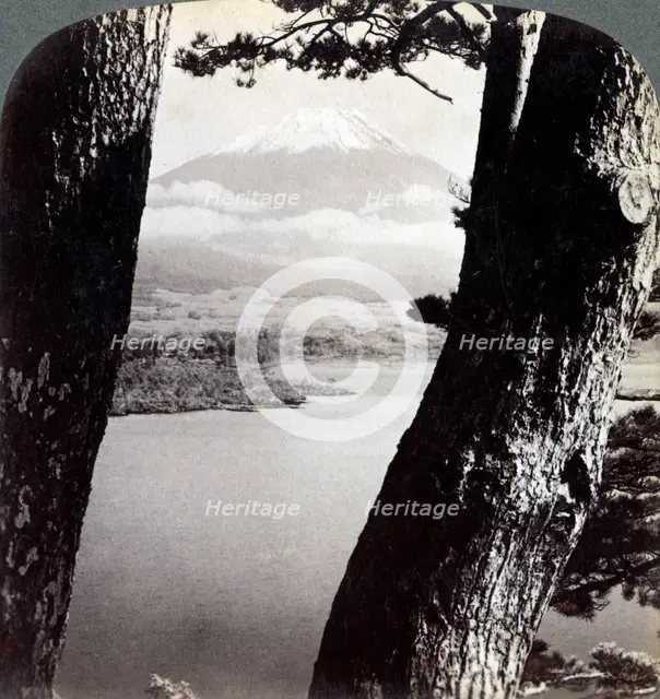 Mount Fuji, seen from the northwest, through pines at Lake Motosu, Japan, 1904. Artist: Underwood & Underwood