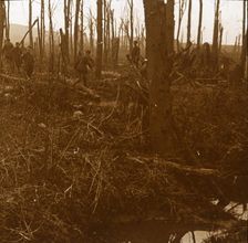 Mount Kemmel, Flanders, Belgium, c1914-c1918