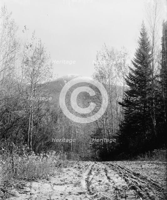 Mount Pleasant from base road, White Mountains, ca 1900. Creator: Unknown.