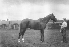 Mount Prospects Fortune 1911