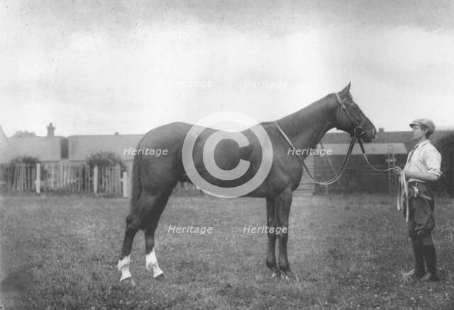 'Mount Prospects Fortune', 1911. Artist: Unknown.