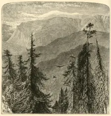 Mount Washington, from top of Thompson's Falls, Pinkham Pass 1872. Creator: Harry Fenn