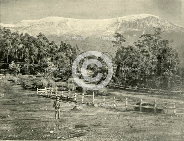 'Mount Wellington, from the Huon Road', 1901. Creator: Unknown.