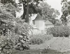 "Mount Vernon," George Washington house, George Washington Parkway, Mount Vernon, Virginia, c1894. Creator: Frances Benjamin Johnston