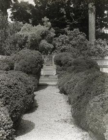 "Mount Vernon," George Washington house, George Washington Parkway, Mount Vernon, Virginia, c1894. Creator: Frances Benjamin Johnston