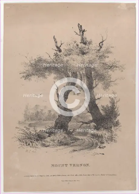Mount Vernon with hidden silhouette of George Washington, 1832. Creator: Henry Inman.