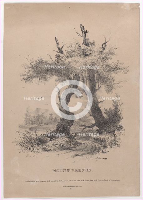 Mount Vernon with hidden silhouette of George Washington, 1832. Creator: Henry Inman.