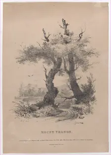 Mount Vernon with hidden silhouette of George Washington, 1832. Creator: Henry Inman