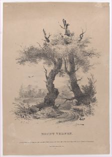 Mount Vernon with hidden silhouette of George Washington, 1832. Creator: Henry Inman