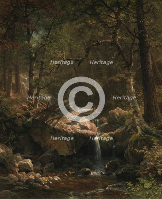 Mountain Brook, 1863. Creator: Albert Bierstadt.