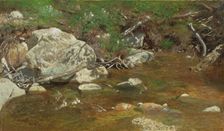 Mountain Brook: A Study, between c1863 and 1869. Creator: Alexander Helwig Wyant