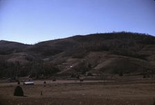 Mountain farm along the Skyline Drive, Virginia, ca. 1940. Creator: Jack Delano
