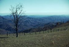 Mountain farm along Skyline Drive, Va., ca. 1940. Creator: Jack Delano