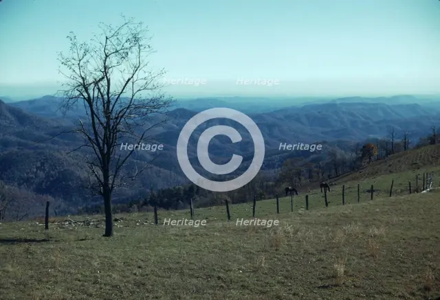 Mountain farm along Skyline Drive, Va., ca. 1940. Creator: Jack Delano.